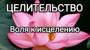 Воля к исцелению! #илларион