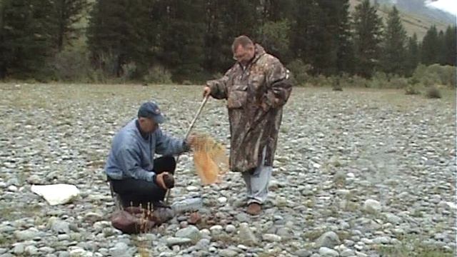 2008 тюнгур камни