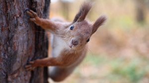 Прогулка у Северского Донца