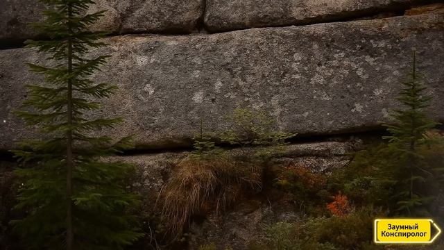 Геодезисты в Тайге столкнулись с 40 сантиметровым Народом!