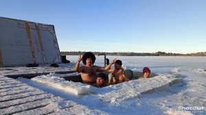 моржи Муравленко