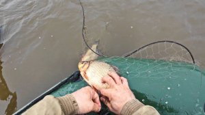 ПРОВЕРКА СЕТЕЙ НА ОЗЕРЕ ОСЕНЬЮ. ЛОВЛЯ РЫБЫ НА СЕТИ В МУТНОЙ ВОДЕ. СКОЛЬКО ЕСТЬ, ВСЕ НАШЕ.