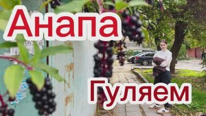 Погуляли по пустым улицам Анапы. Тепло. Красиво.