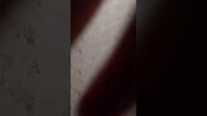 показываю вам раст видосы