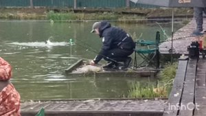 Форель в Липках