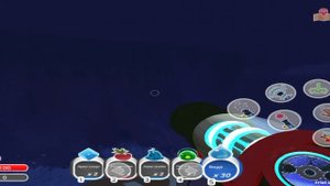 слаим ранчер 7