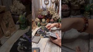 ТЕЛЬЦЫ♉️ ТАРО ПРОГНОЗ НА НОЯБРЬ