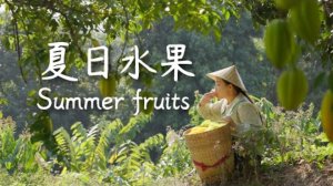 Summer of Yunnan