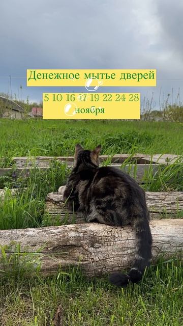 Моем двери - деньги привлекаем!