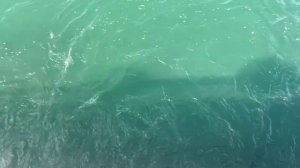 Байкал 2025 четвертый день