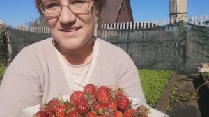 25 .09. ч.2. Работаю и кайфую.....на даче.