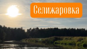 Селижаровка