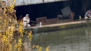 Под серым мостом