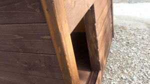 4.11.25. Собачьи радости для Пульки и ее дочки Баски. Севастополь