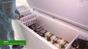 Мост дружбы Эрляня и Улан-Удэ / Дэлхийн төв 2025.11.04