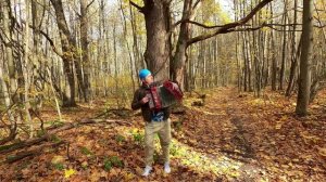 ДУШЕВНАЯ МУЗЫКА ПОД ГАРМОНЬ