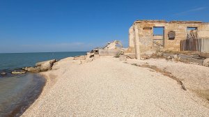 Должанка - 2025 - унесенные ветром