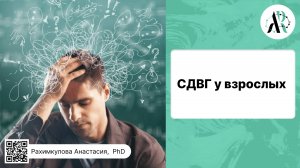 СДВГ у взрослых