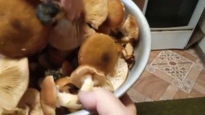 Набрали грибов с бабушкой 03-11-2025