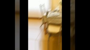 Снять квартира посуточно. Москве на улице Демьяна Бедного 17 к 1. Метро: Хорошёво.