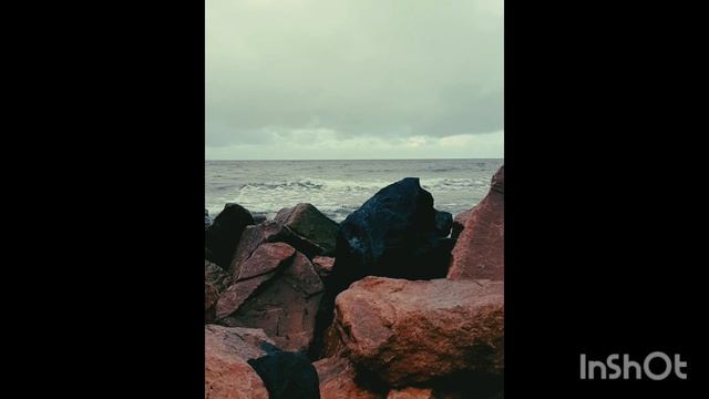 Светлогорск осенью смотреть онлайн