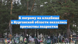 К погрому на кладбище в Курганской области оказались причастны подростки