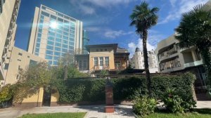 Осень в Сочи. Autumn in Sochi.