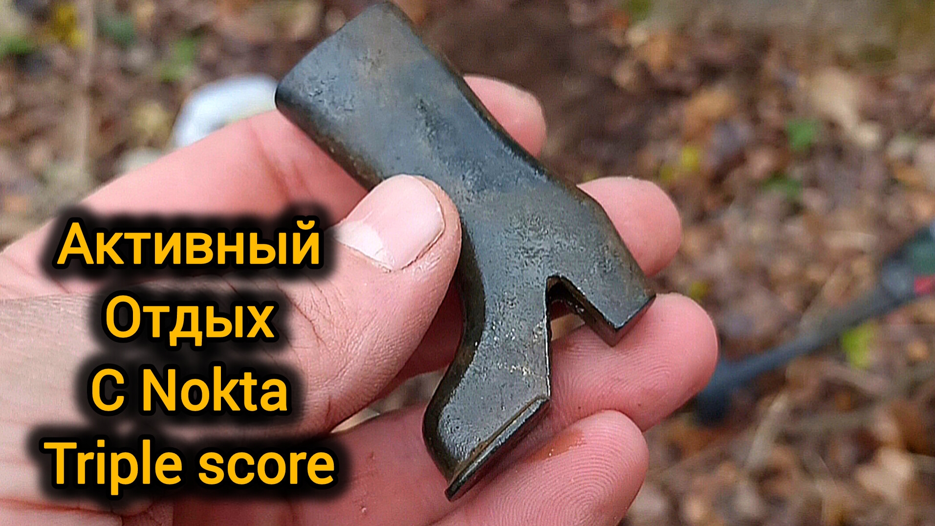Активный приборный отдых с Nokta triple score смотреть онлайн