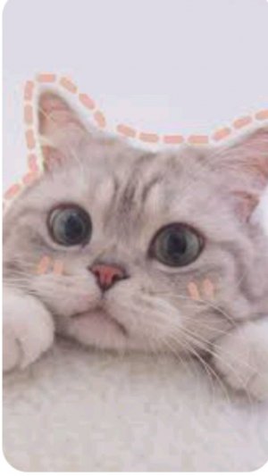 ребята пописывайтесь