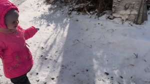 Первый снег 1 ноября