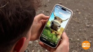 Корова, иди на съемку! Доброе утро. Фрагмент выпуска от 04.11.2025