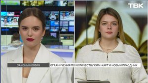 Какие законы вступают в силу в России в ноябре