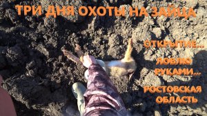 Три дня охоты на зайца...открытие...ловлю руками