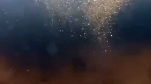 Видео от За Трофеем: Охота и Рыбалка