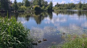 Приозерск. VID_20250814_134555_168