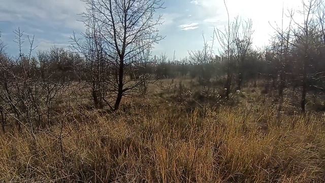 vaneda v-clutch pro 1191 второй выход смотреть онлайн