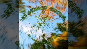 "ВСЁ ЗАДУМАНО ПРИРОДОЙ"_ авторская песня.