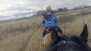 Дневник конных сборов — 1 ноября