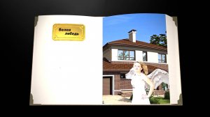 Белая лебедь (Сборник рассказов. Том 3)