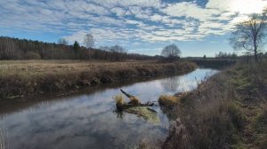 Река Уводь. ч.7. Ноябрь 2025