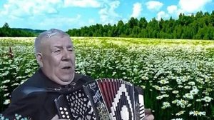 Ромашка белая (И. Плешивцев) разбор на гармони №-424 с цифрами