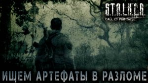 Сталкер -Зов припяти - Побывал в разломе#4