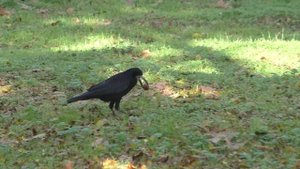 Осенний день в парке.