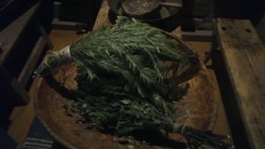 Вологда. День четвёртый. Часть 3. ВОЛОГОДСКИЙ ДРАМАТИЧЕСКИЙ ТЕАТР. ДОМ С ДОБРОМ