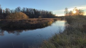 Река Уводь. ч.2. Ноябрь 2025