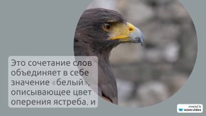 Фамилия Альбор: история происхождения, значение и правильное склонение - все, что нужно знать!