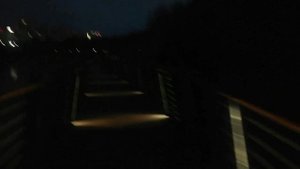 Кардио тренировка. Бег по парку 6 км 20251030072658