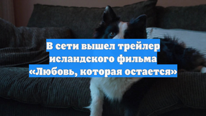 В сети вышел трейлер исландского фильма «Любовь, которая остается»