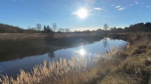 Река Уводь. ч.1. Ноябрь 2025