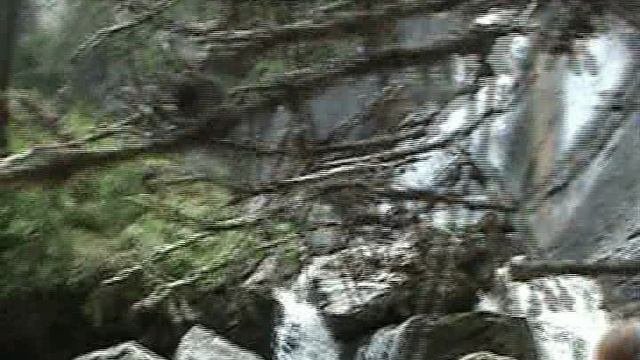 8  алтай чулушман 2006